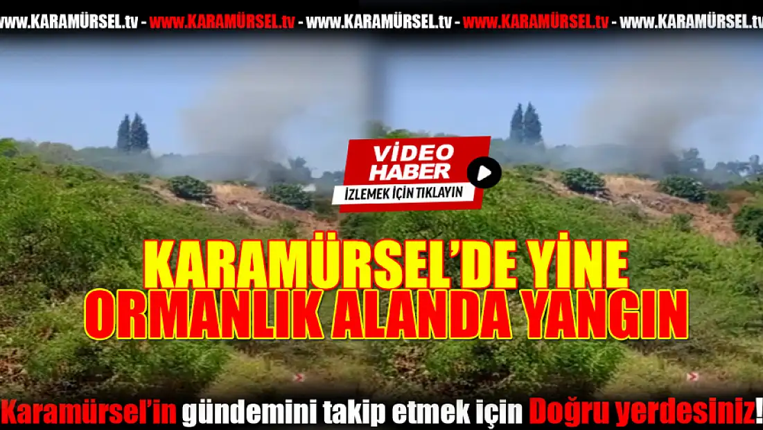 Karamürsel'de Korkutan Yangın!