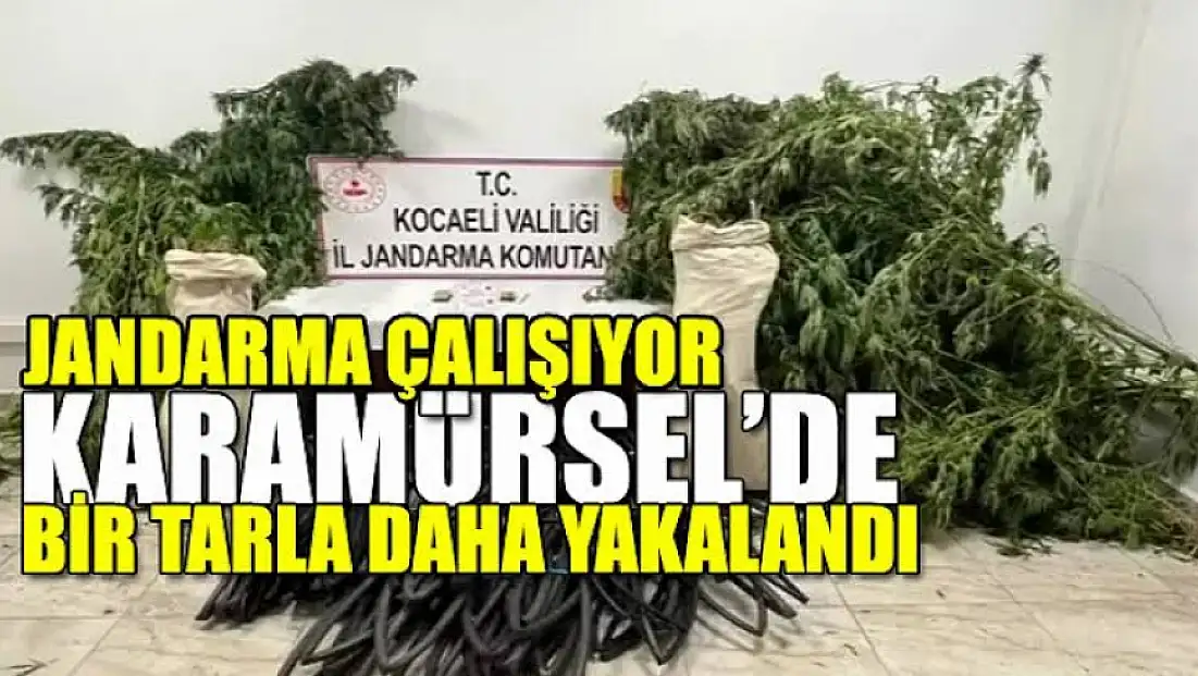 Karamürsel Jandarma Uyuşturucuya göz açtırmıyor!