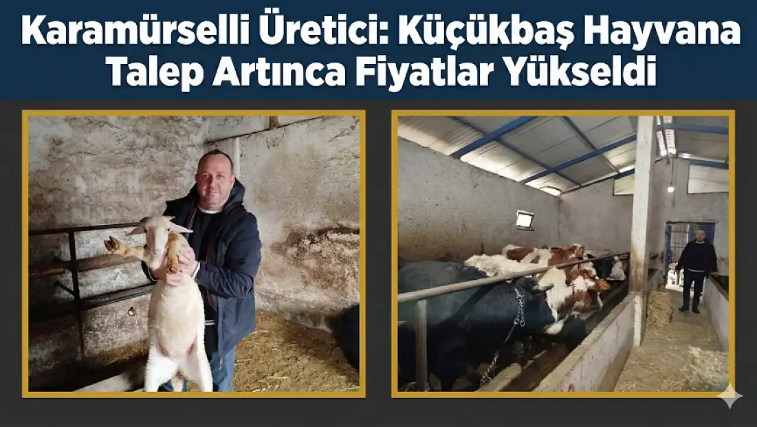 Karamürselli Et Üreticiden Piyaslizi