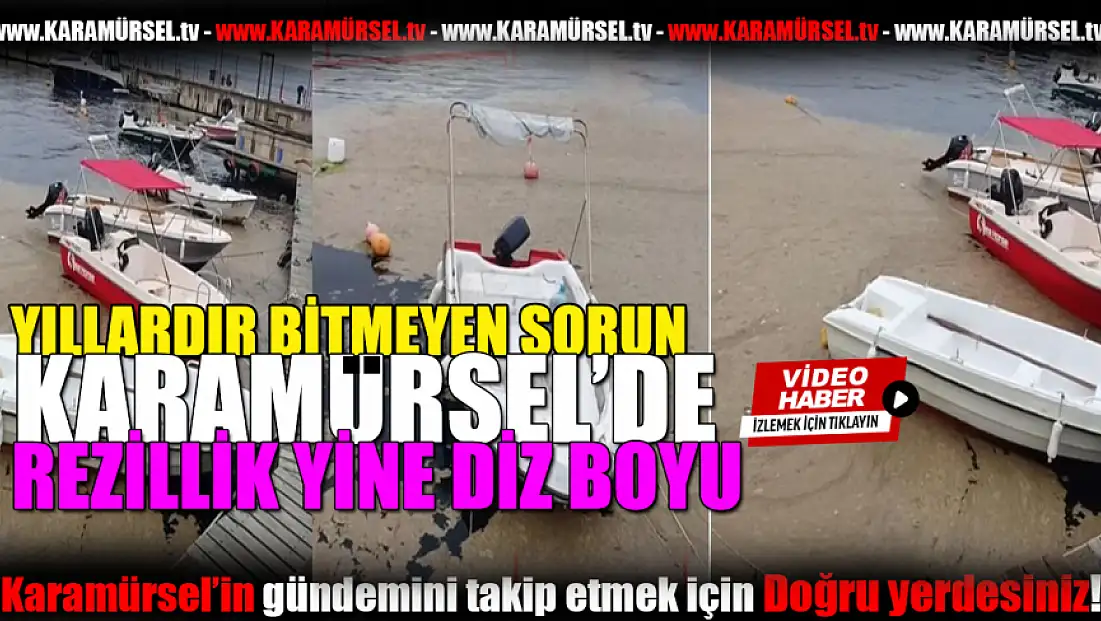 Nedenleri, Etkileri ve Çözüm yıllardır neden bulunmuyor?
