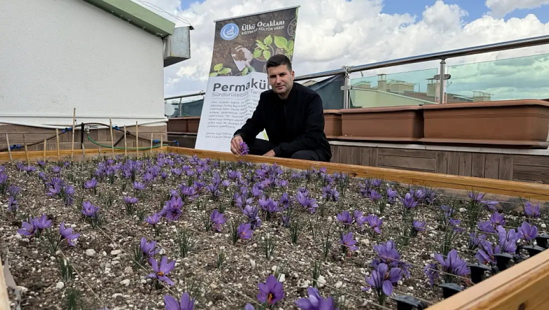 Ülkü Ocakları Genel Merkezi'nden muhteşem proje