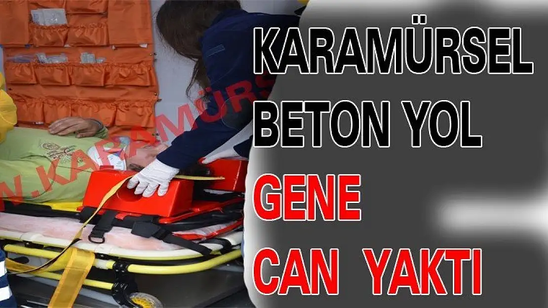 Karamürsel'de 4 aracın karıştığı kazada 1 kişi yaralandı