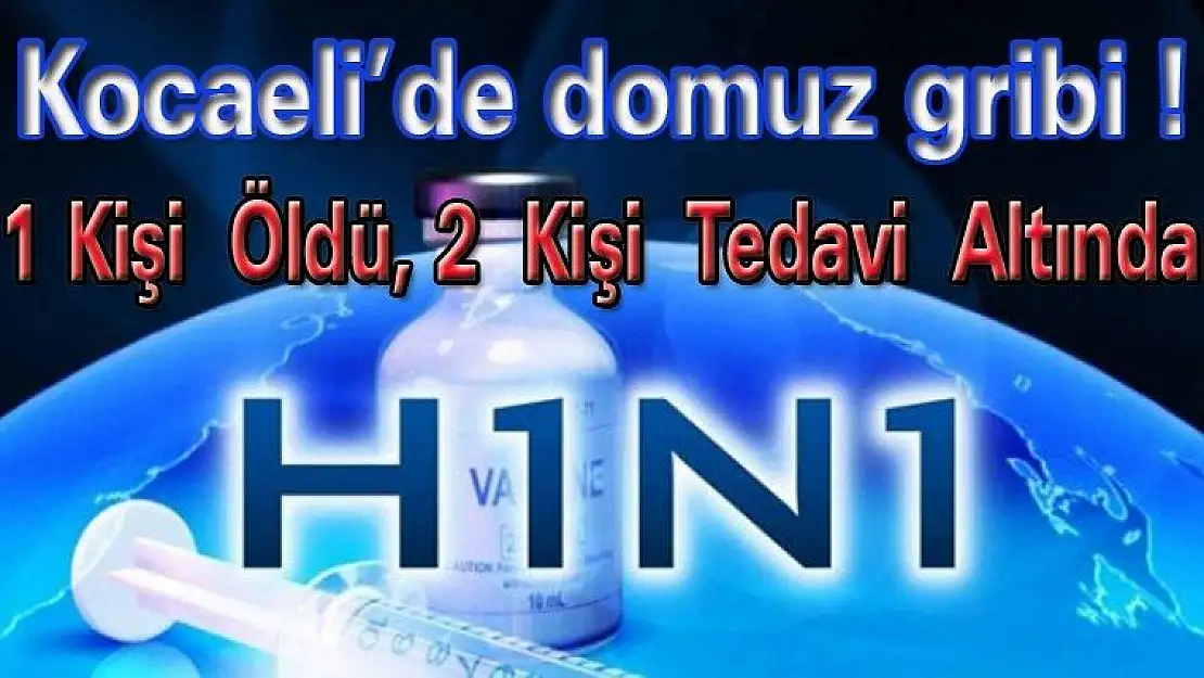 İlimizde Domuz Gribi 1 Can Aldı 2 Kişide Tedavi Altında