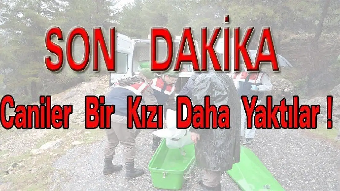 Caniler Bir kızı daha yaktılar !