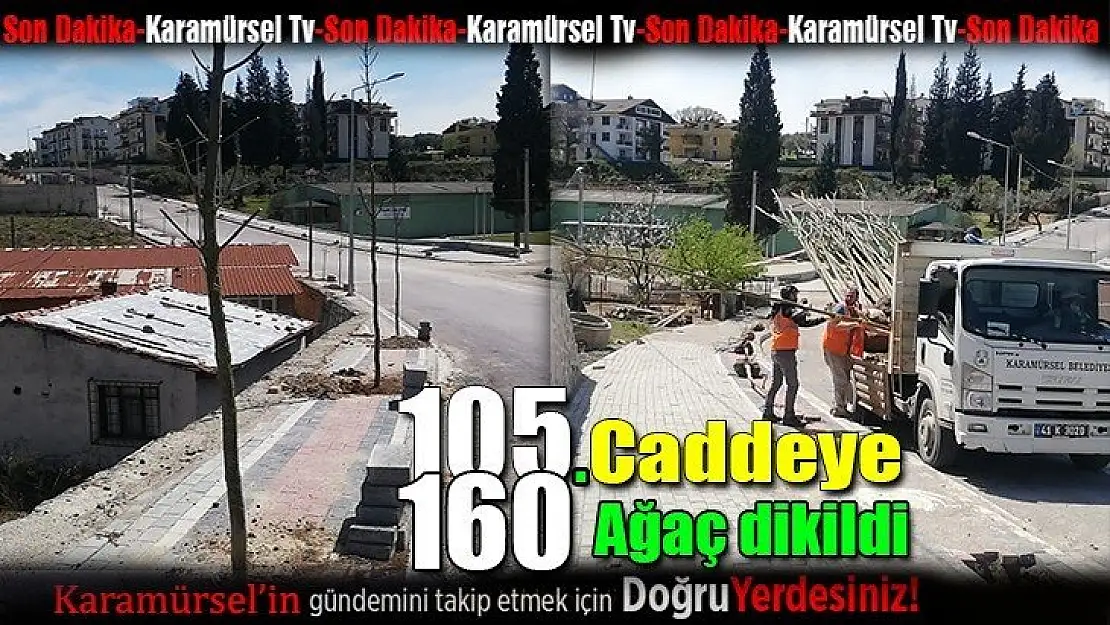 105. Caddeye 160 ağaç dikildi