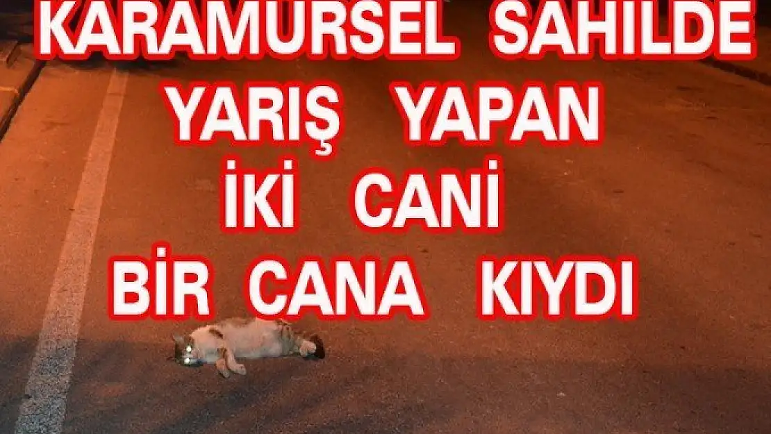 Karamürsel Sahilde Yarış Yapan İki Araç Bir Cana Kıydı