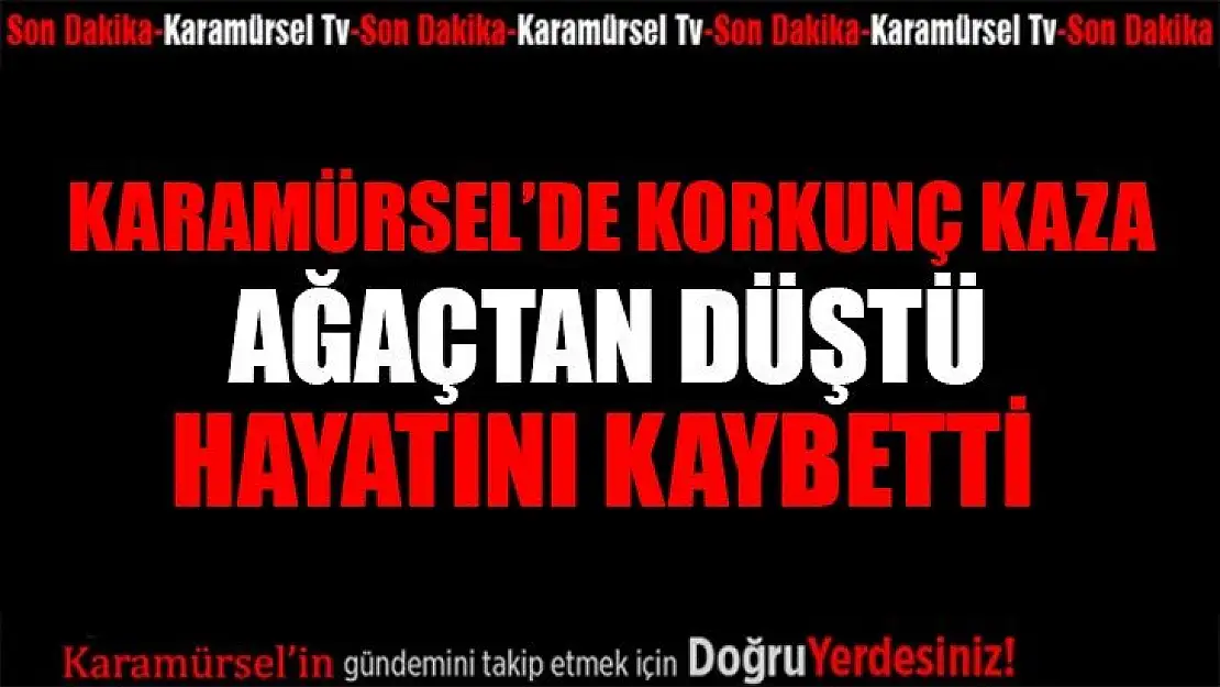 Ağaçtan düşen kişi hayatını kaybetti