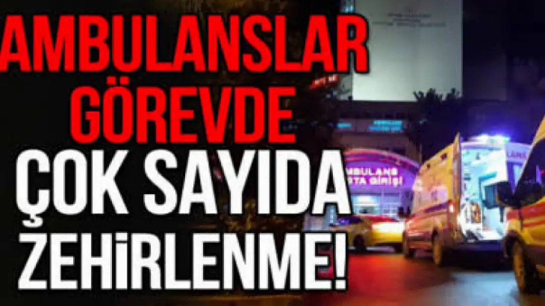 Altınova tersaneler bölgesinde çok sayıda kişi zehirlendi