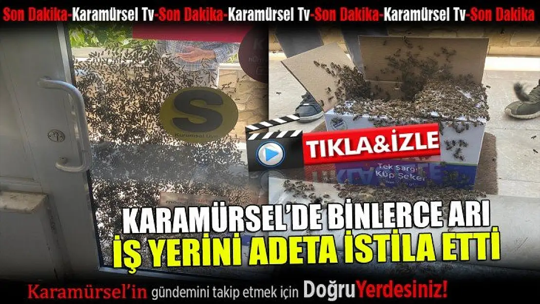 Binlerce arı iş yerini adeta istila etti!