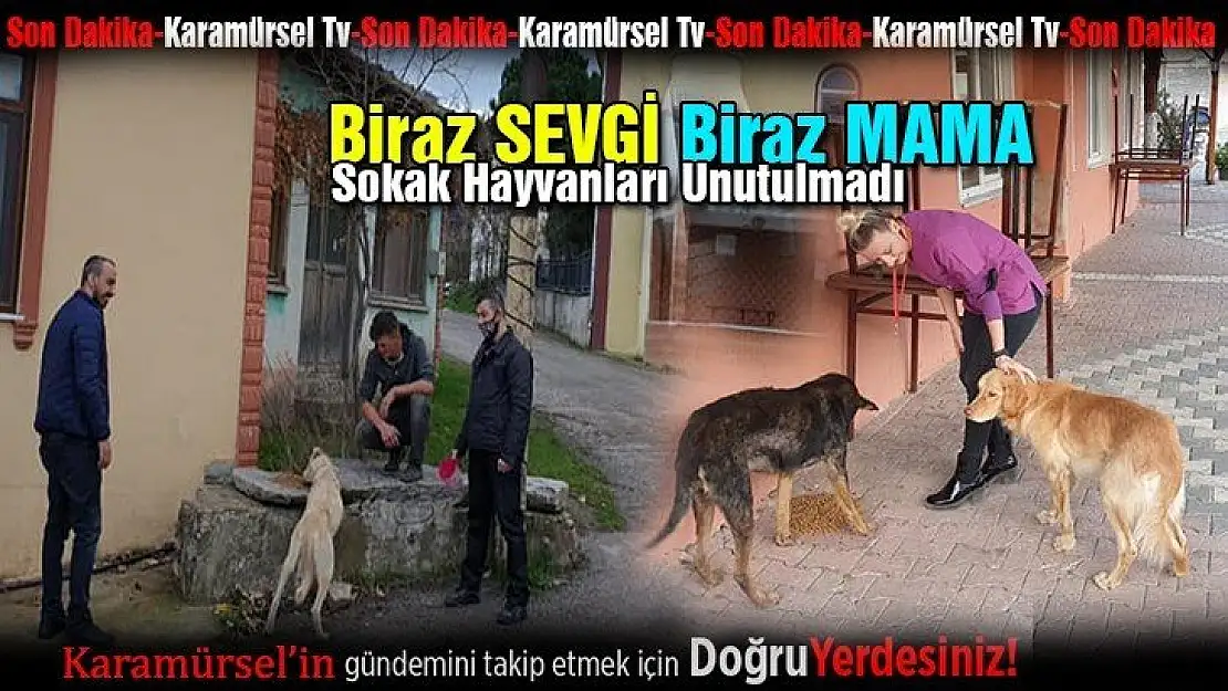 Biraz SEVGİ, Biraz MAMA