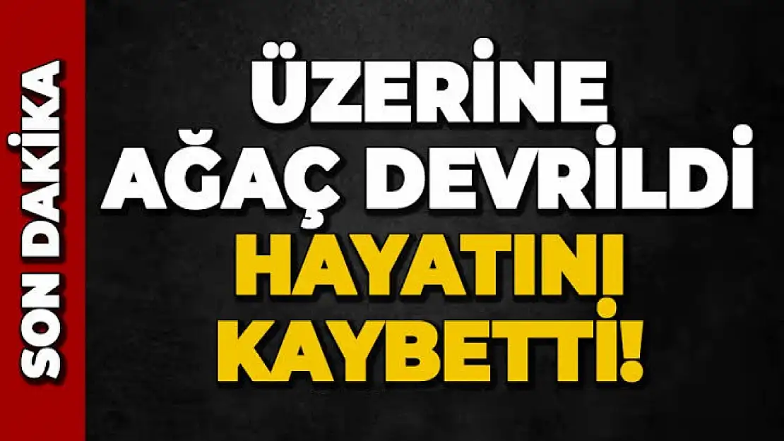 Değirmendere'de Korkunç Ölüm