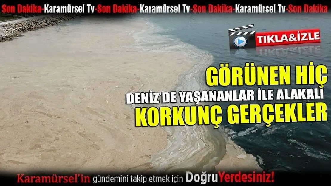 Deniz ile alakalı korkunç gerçekler gün yüzüne çıktı