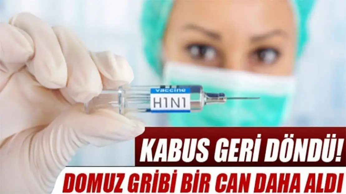 Domuz Gribi Bir Can Daha Aldı