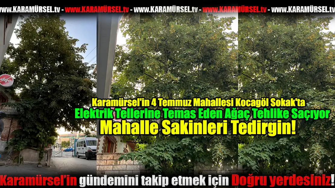 Elektrik Tellerine Temas Eden Ağaç Tehlike Saçıyor