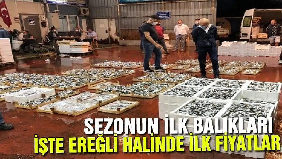 Ereğli balık halinde bereket var