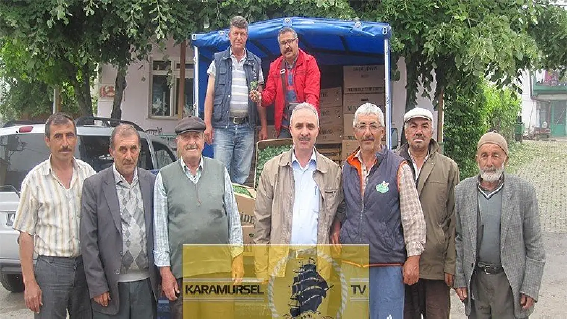 Karamürsel  Sosyal Yardımlaşma ve Dayanışma Vakfı 60 Bin Fidan Dağattı