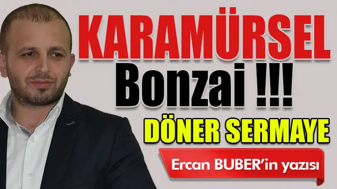 Karamürsel & Bonzai