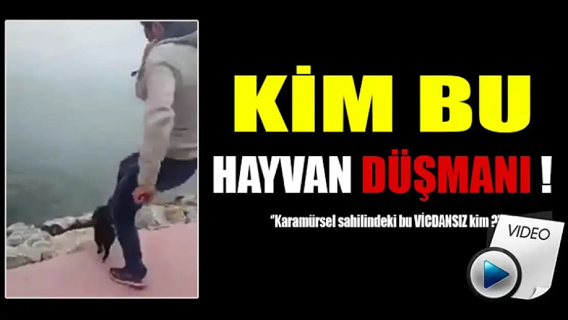 Kim Bu Vicdansız Cani