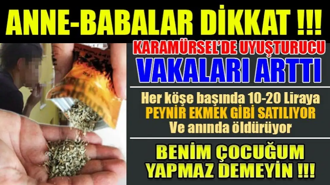 Karamürsel'de yine bonzai vakaları arttı