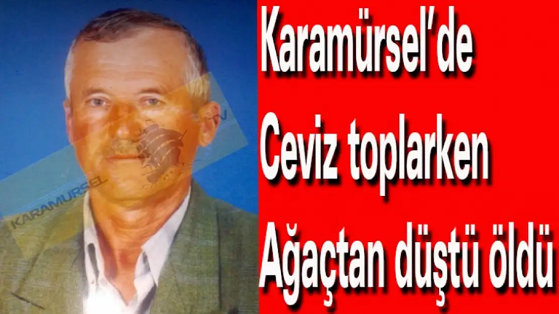 Karamürsel'de ceviz toplarken ağaçtan düştü öldü