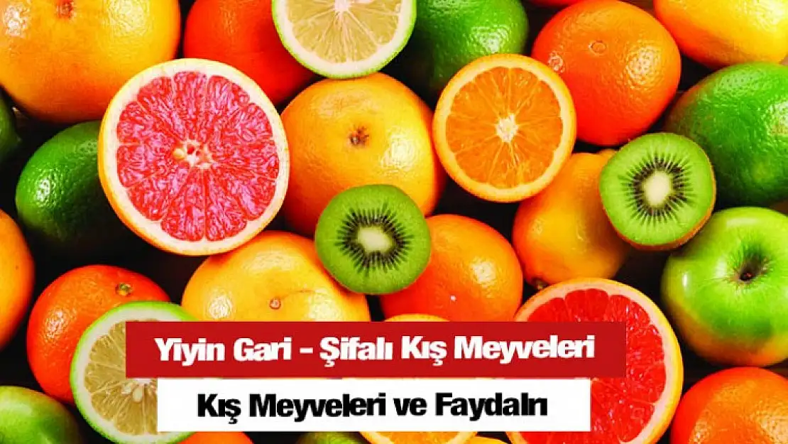 Yiyin Gari - Şifalı Kış Meyveleri