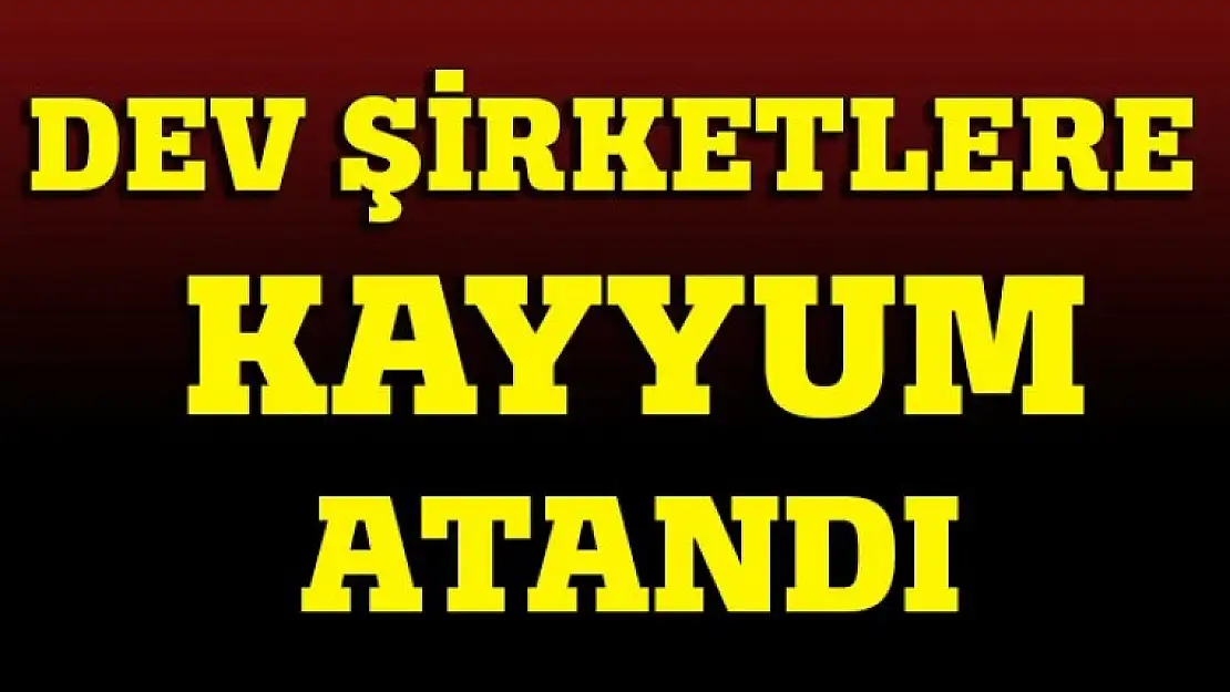 Dev şirketlere TMSF yetkilileri kayyum olarak atandı