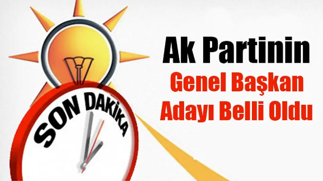 Ak Partinin Genel Başkan Adayı Belli Oldu