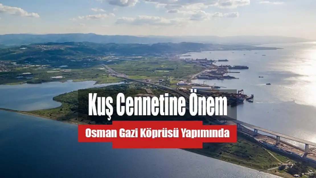 Köprü Yapımında Kuş Cennetine Önem