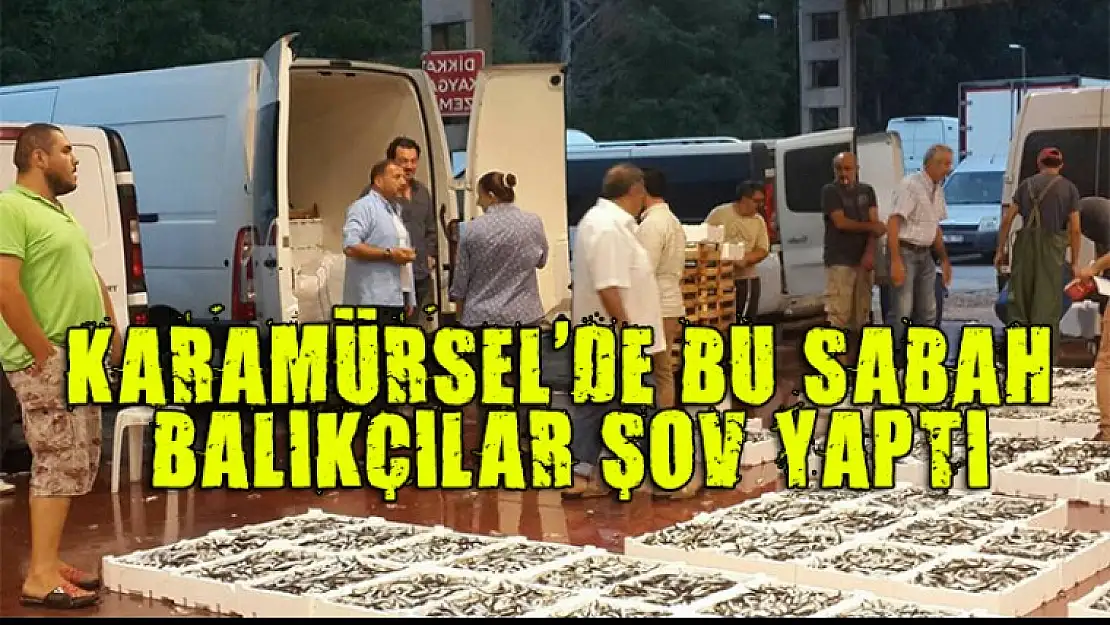 Karamürsel'de balık bolluğu