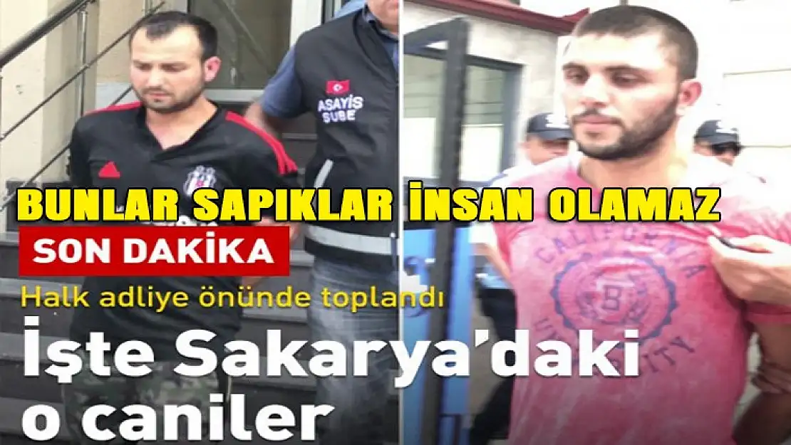 Bu sapıklar insan olamazlar