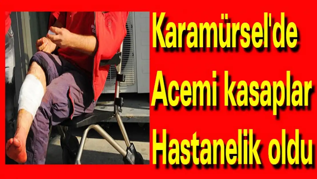 Karamürsel'de Acemi kasaplar hastanelik oldu