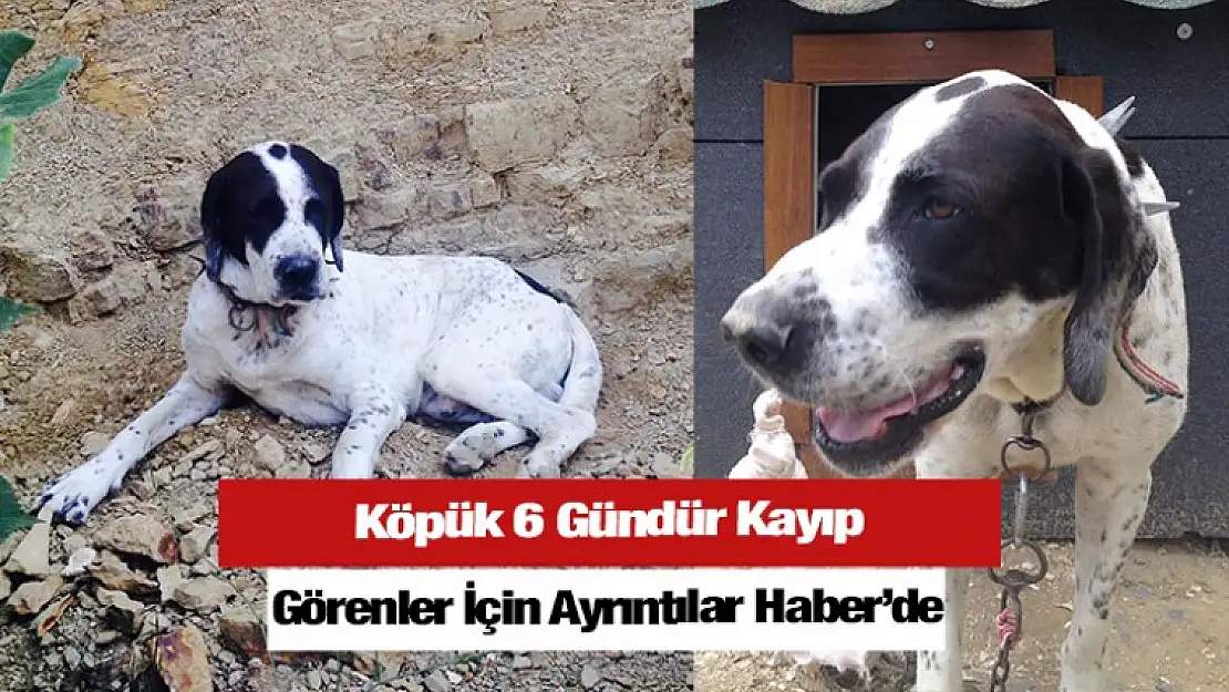 ''Köpük'' 6 Gündür Kayıp