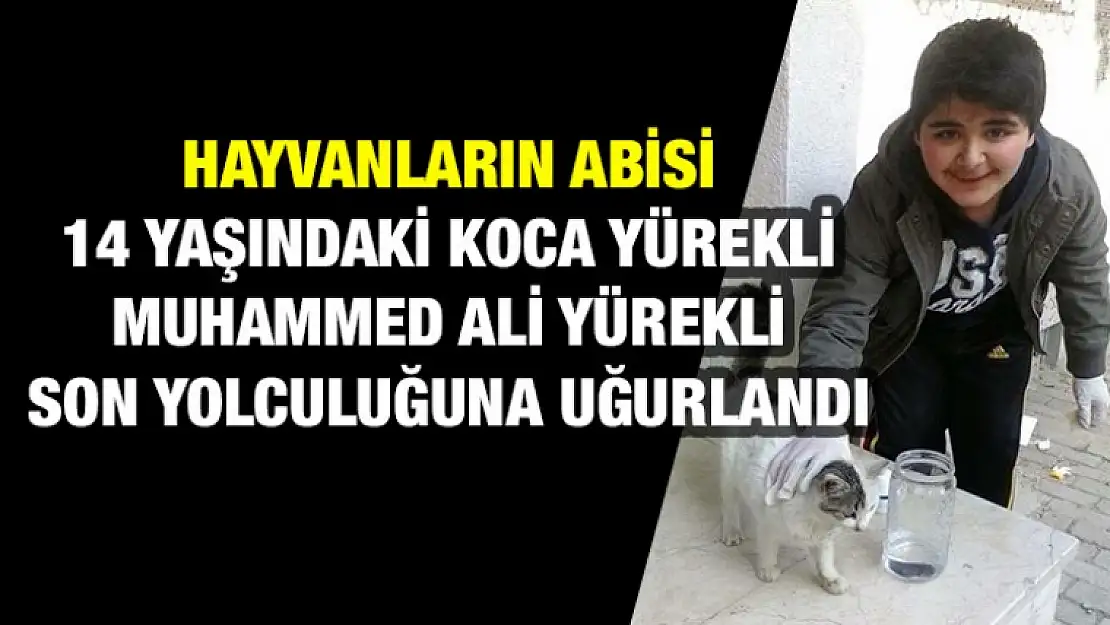 Hayvanların Abisi Muhammed Ali Yürekli Vefat Etti