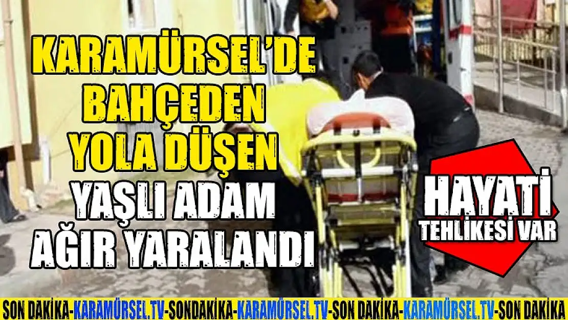 Bahçeden Yola Düşen Yaşlı Adam Ağır Yaralandı