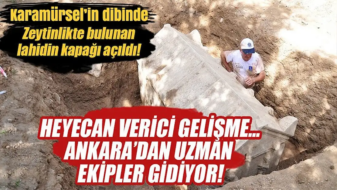 Zeytinlikte define bulundu