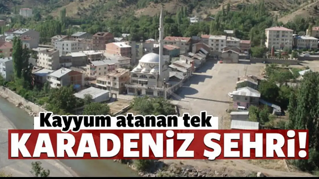 Çamoluk ilçe belediyesine kayyum atandı