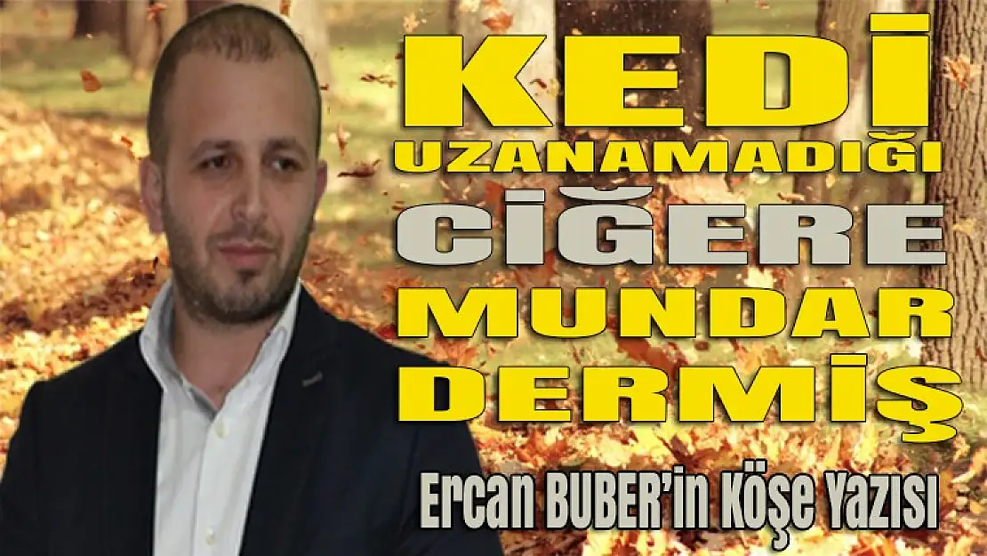 Kedi uzanamadığı 'CİĞERE' mundar dermiş