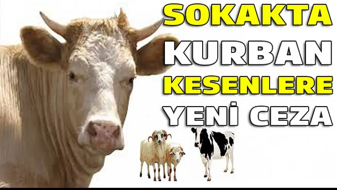 Sokakta kurban kesenler yandı cezası artırıldı