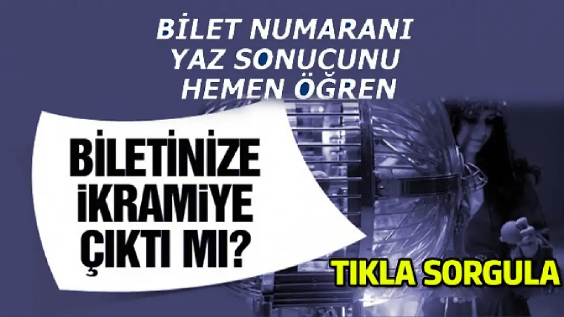 Milli Piyango Yılbaşı Çekiliş Sonuçları 2018 sorgulama ekranı