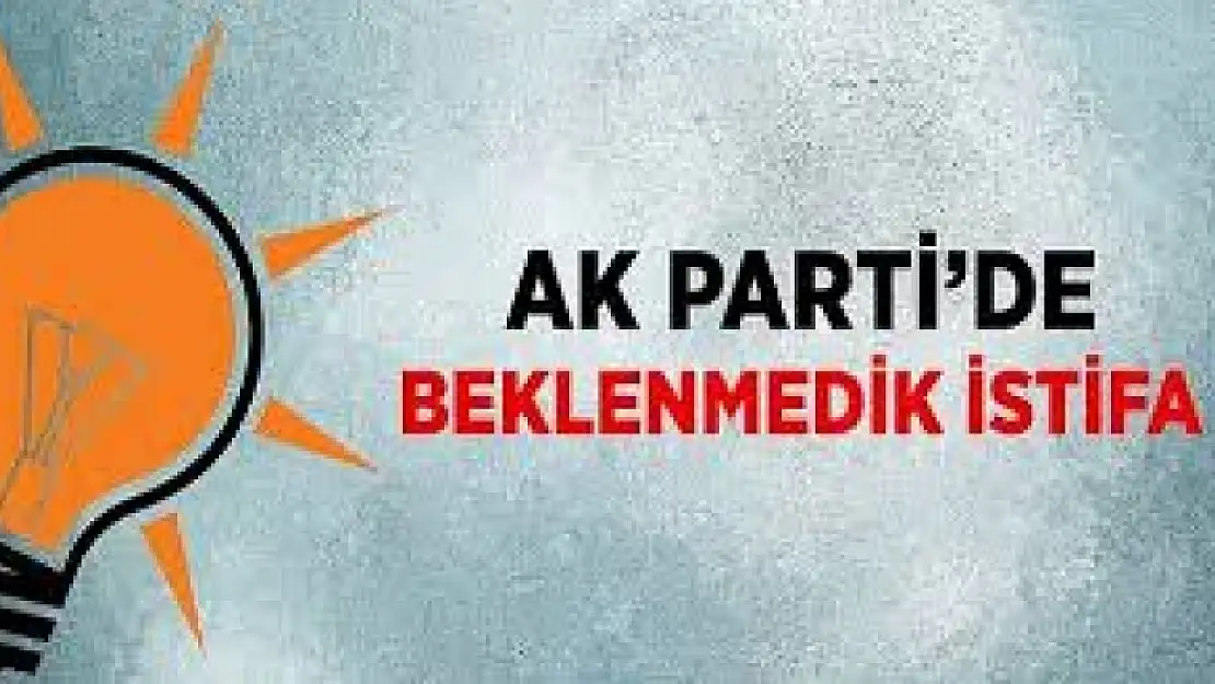 Ak Parti Kadın Kolları Başkanı İstifa etti