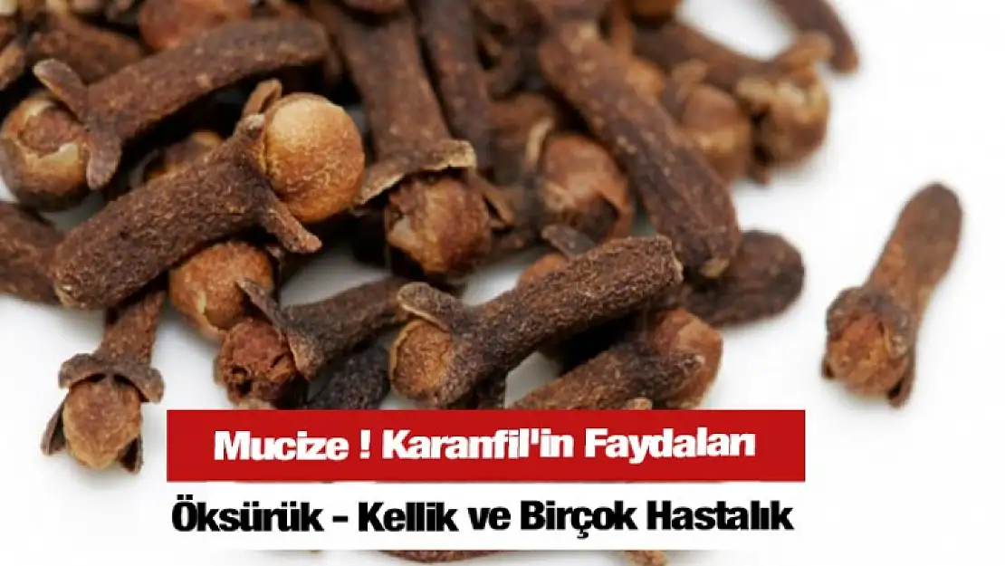 Mucize ! Karanfil'in Faydaları