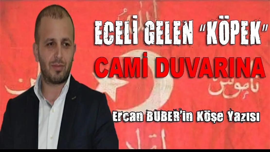 ECELİ GELEN 'KÖPEK' CAMİ DUVARINA İŞER