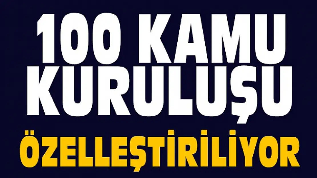 Kamu Kuruluşlarından 100 Tanesi Özelleşiyor