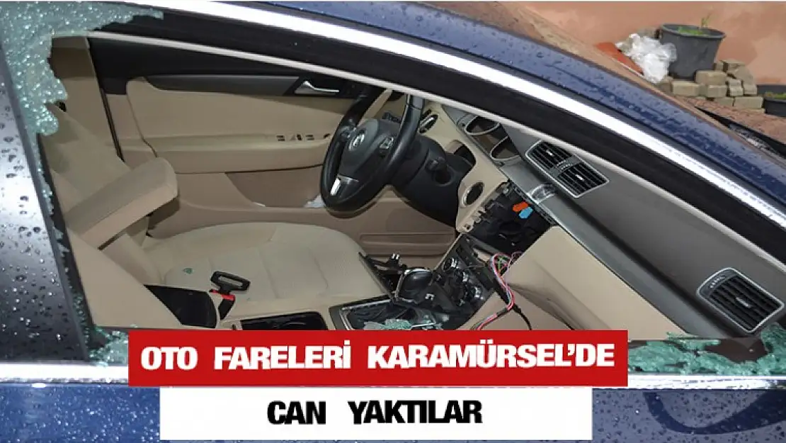 Karamürsel'de oto fareleri can yaktılar