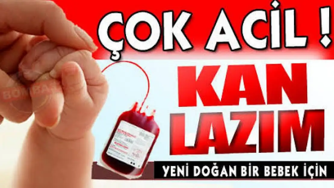 Çok acil kan aranıyor