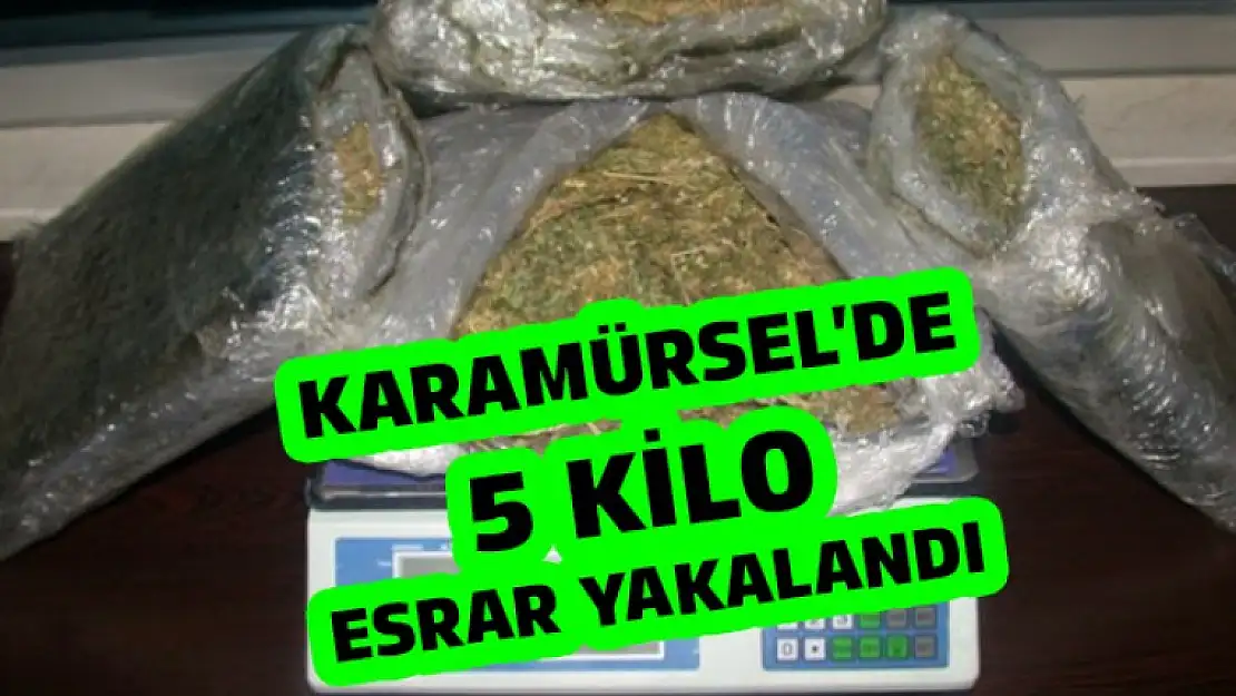 Karamürsel'de 5 Kilo Esrar yakalandı