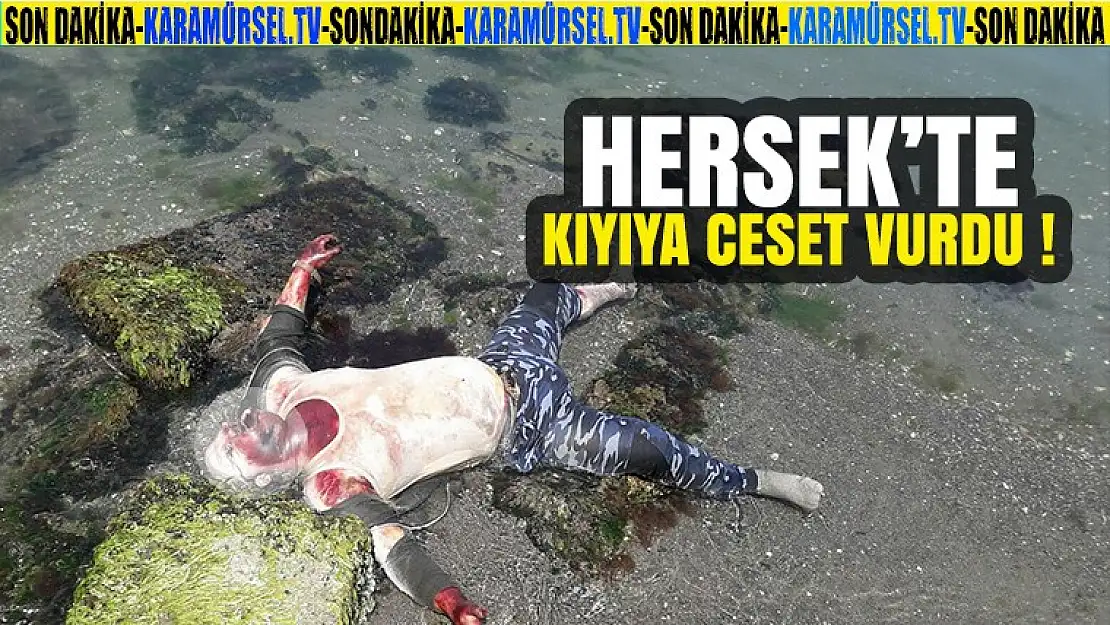 Hersek'te Denize Ceset Vurdu