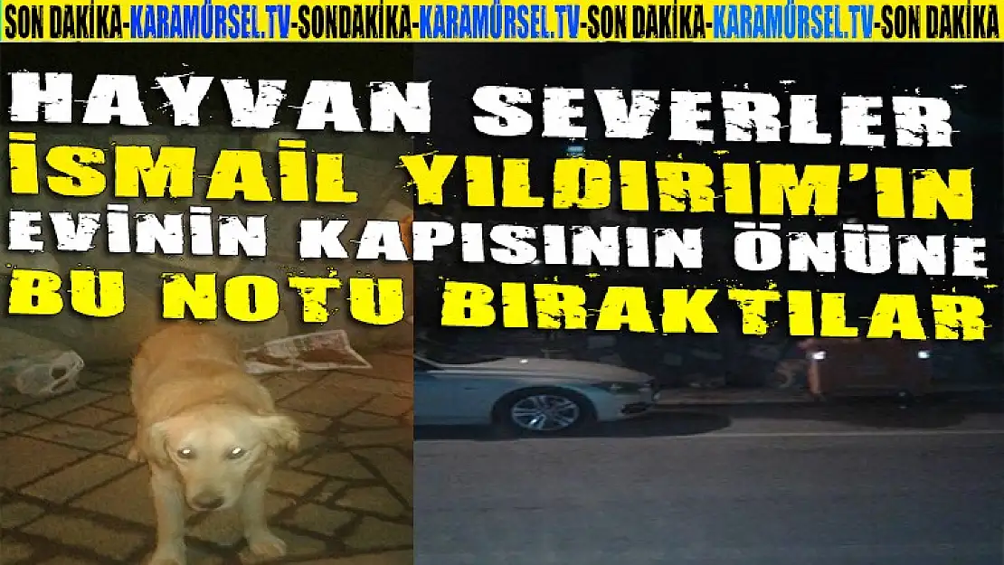 Hayvan severler İsmail Yıldırım'a seslendi