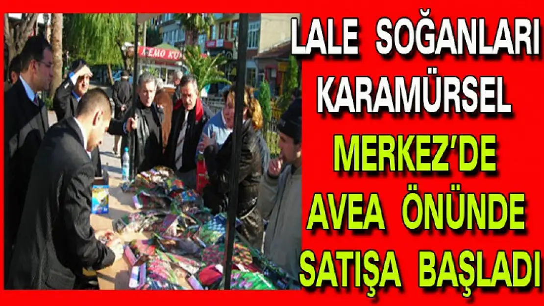 Karamürsel Merkezde Lale Soğanları satışa çıktı