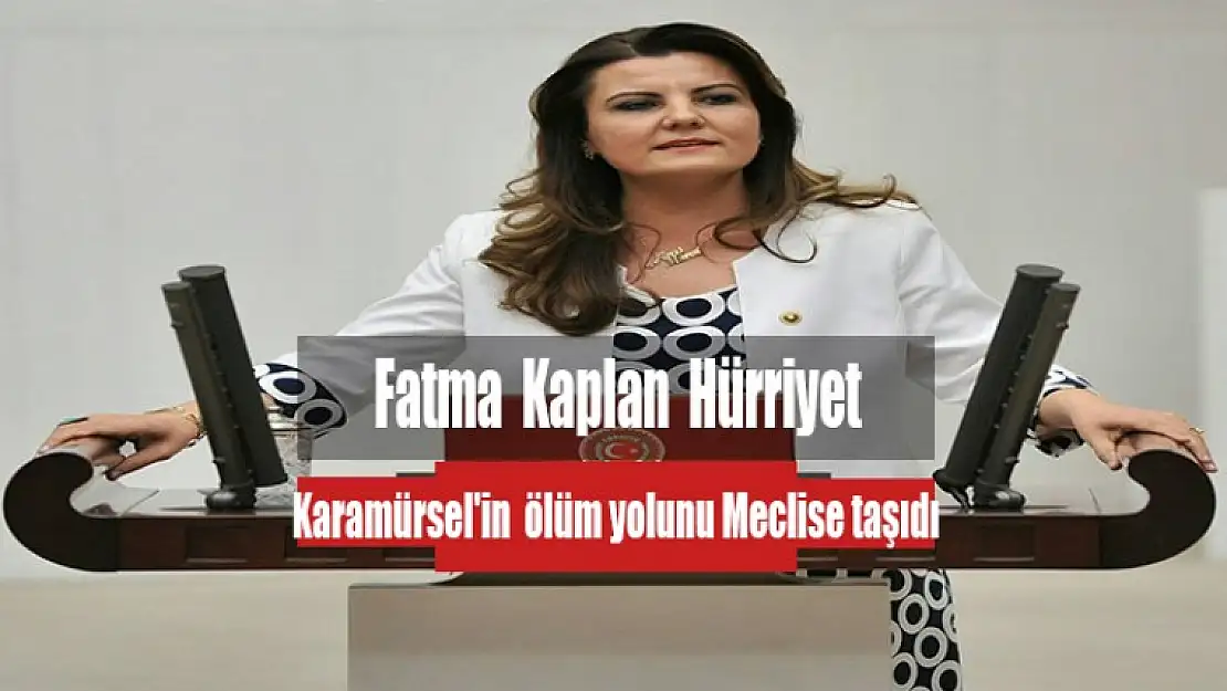 Fatma Kaplan Hürriyet Karamürsel'in ölüm yolunu Meclise taşıdı